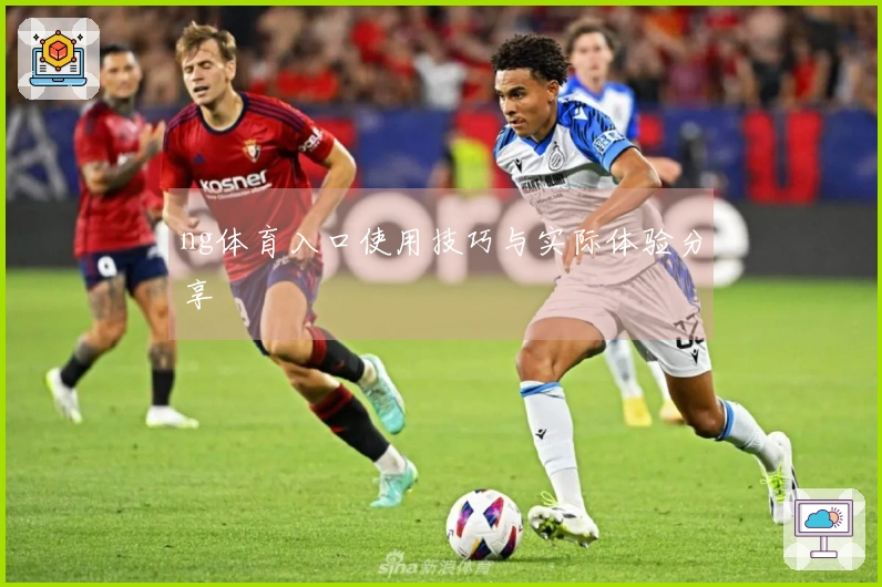 ng体育入口使用技巧与实际体验分享