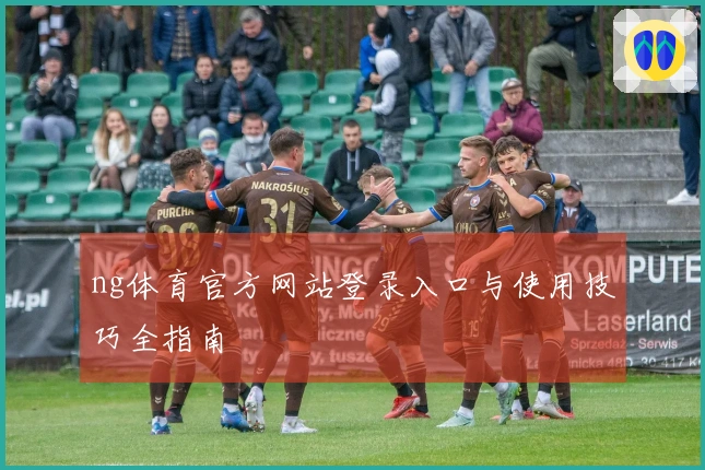 ng体育官方网站登录入口与使用技巧全指南