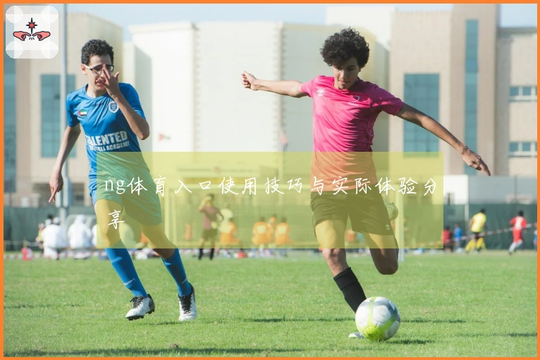 ng体育入口使用技巧与实际体验分享