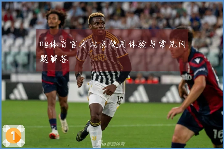 ng体育官方站点使用体验与常见问题解答