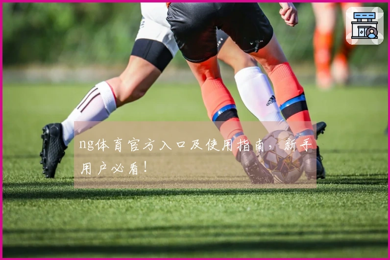 ng体育官方入口及使用指南，新手用户必看！