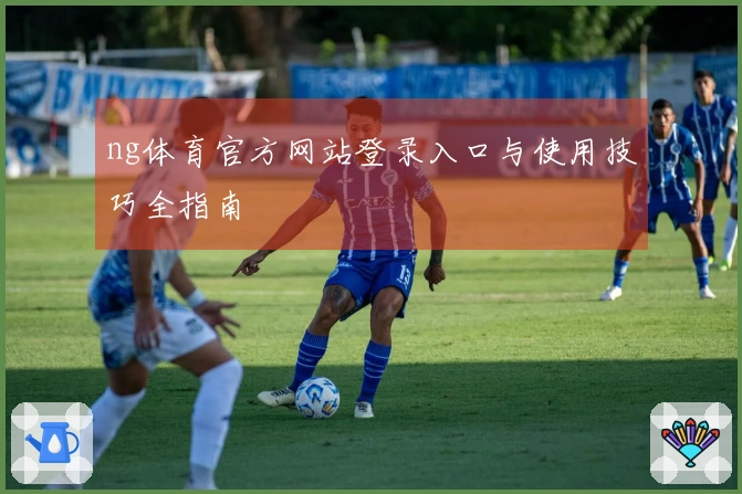 ng体育官方网站登录入口与使用技巧全指南