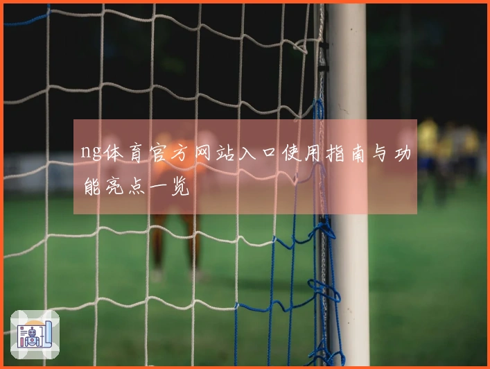 ng体育官方网站入口使用指南与功能亮点一览