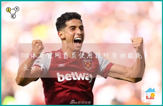 ng体育官网首页使用技巧与功能亮点分享