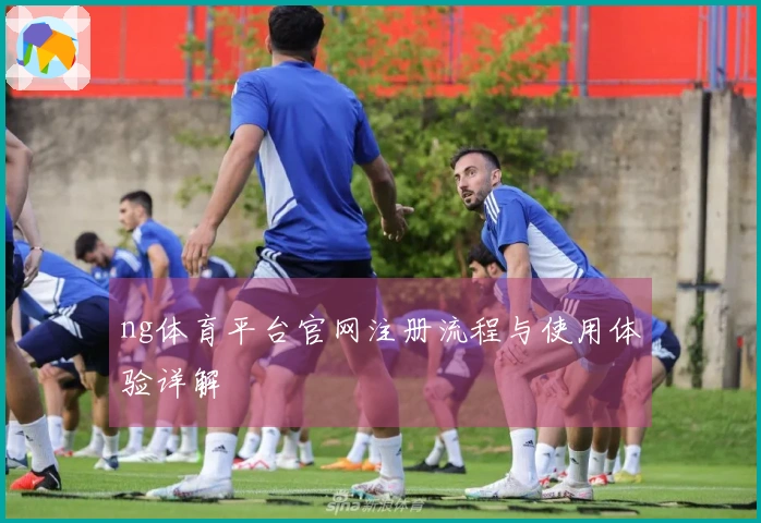 ng体育平台官网注册流程与使用体验详解