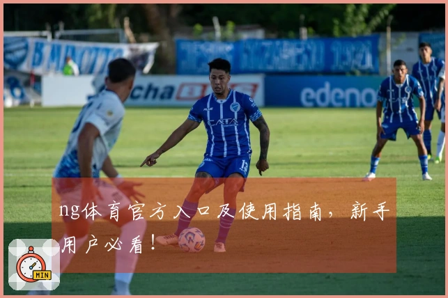 ng体育官方入口及使用指南，新手用户必看！