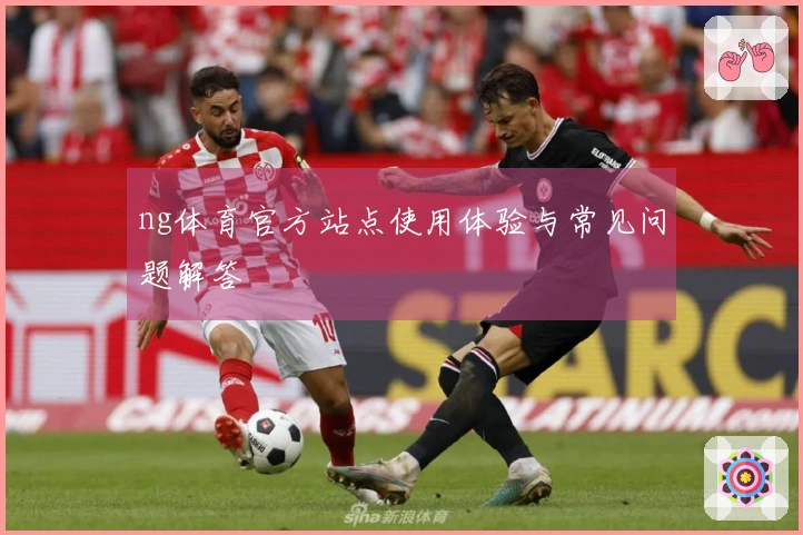 ng体育官方站点使用体验与常见问题解答