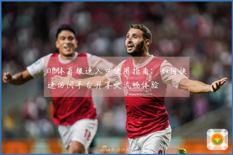 ng体育极速入口使用指南：如何快速访问平台并享受流畅体验